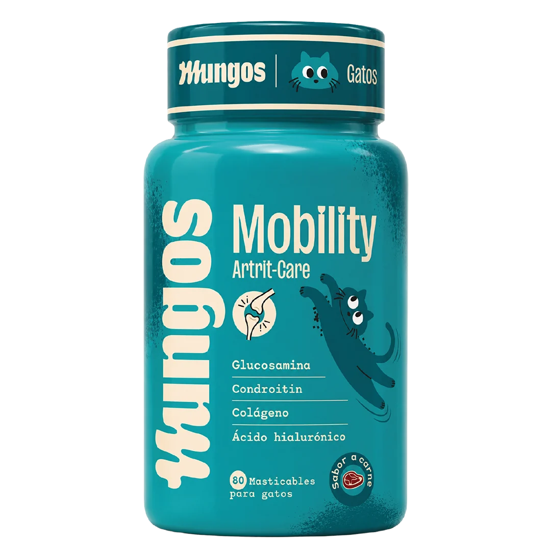 Mungos Cats Mobility
